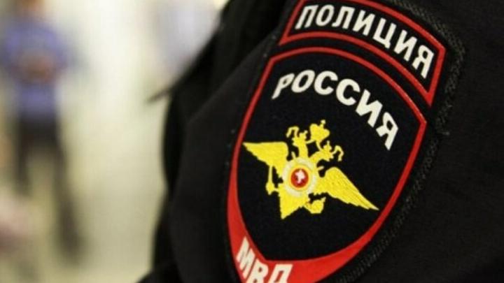 Под Саратовом у фермера украли двух овец Под Саратовом у фермера украли двух овец