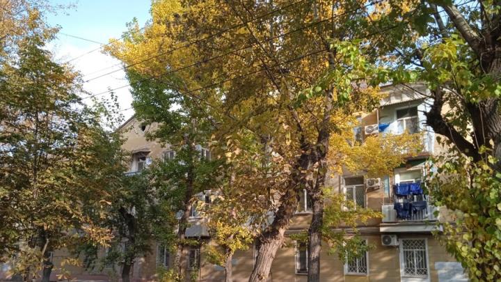 В Саратове отремонтируют памятник архитектуры 50-х годов В Саратове отремонтируют памятник архитектуры 50-х годов