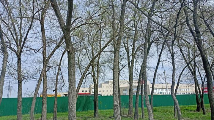 Новый онкологический центр открывается в Саратове Новый онкологический центр открывается в Саратове