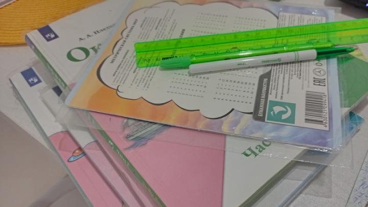 Из-за морозов в саратовских школах отменяли занятия Из-за морозов в саратовских школах отменяли занятия