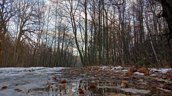 Первые весенние выходные будут морозными в Саратовской области Первые весенние выходные будут морозными в Саратовской области