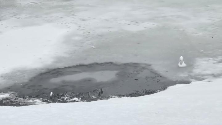 В Саратове пройдёт зимний турнир по ловле рыбы со льда В Саратове пройдёт зимний турнир по ловле рыбы со льда