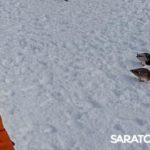Саратовцы празднуют Масленицу