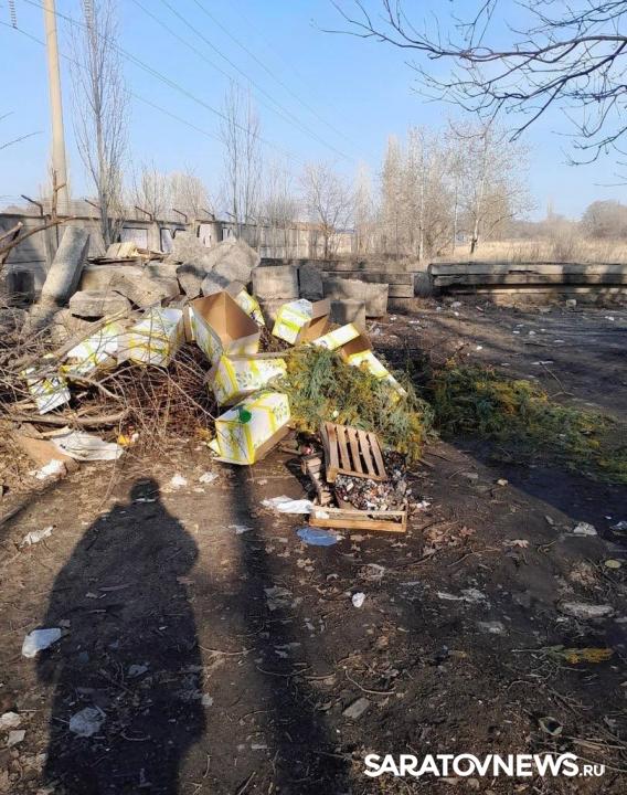 Гора выброшенных мимоз на мусорке в Саратове вызвала возмущение горожан