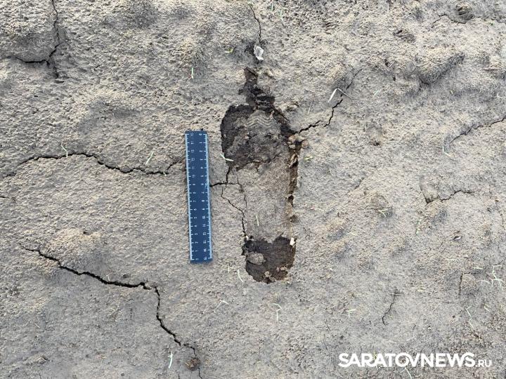 В Саратовскую область пытались незаконно проникнуть четверо афганцев В Саратовскую область пытались незаконно проникнуть четверо афганцев