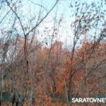 Здания хлопчатобумажной мануфактуры в Красном Текстильщике признали памятником Здания хлопчатобумажной мануфактуры в Красном Текстильщике признали памятником