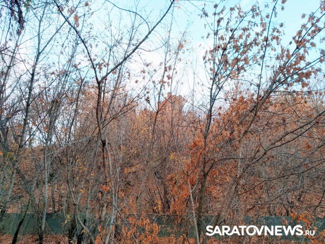 Здания хлопчатобумажной мануфактуры в Красном Текстильщике признали памятником Здания хлопчатобумажной мануфактуры в Красном Текстильщике признали памятником