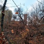Здания хлопчатобумажной мануфактуры в Красном Текстильщике признали памятником Здания хлопчатобумажной мануфактуры в Красном Текстильщике признали памятником