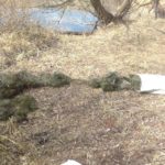 За две недели в Саратовской области выявлено 56 нарушений Правил рыболовства За две недели в Саратовской области выявлено 56 нарушений Правил рыболовства