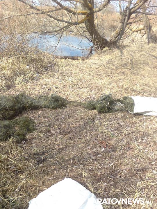 За две недели в Саратовской области выявлено 56 нарушений Правил рыболовства За две недели в Саратовской области выявлено 56 нарушений Правил рыболовства