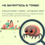 Клещи: в Саратовской области начинается опасный сезон