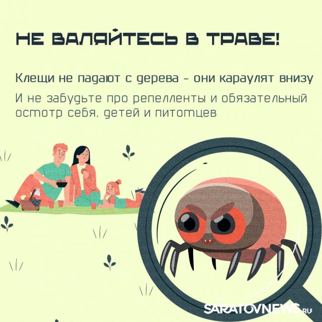 Клещи: в Саратовской области начинается опасный сезон Клещи: в Саратовской области начинается опасный сезон