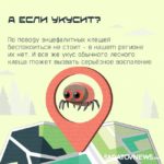 Клещи: в Саратовской области начинается опасный сезон