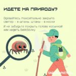 Клещи: в Саратовской области начинается опасный сезон
