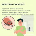 Клещи: в Саратовской области начинается опасный сезон
