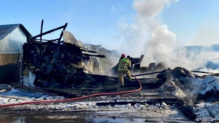 В Энгельсском районе горели деревянный дом и офис В Энгельсском районе горели деревянный дом и офис