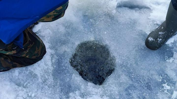 Саратовские рыбаки отмечают безрыбье в акватории Волги Саратовские рыбаки отмечают безрыбье в акватории Волги