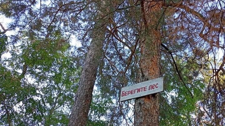 В Саратовской области создана новая особо охраняемая природная территория В Саратовской области создана новая особо охраняемая природная территория
