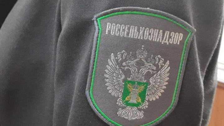 Саратовский предприниматель заплатил штраф за неиспользование земель сельхозназначения Саратовский предприниматель заплатил штраф за неиспользование земель сельхозназначения