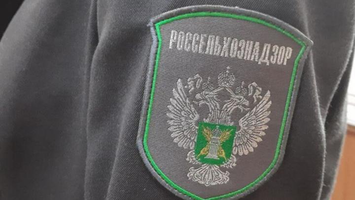 Сотрудники Россельхознадзора выявили нарушения в сетевом магазине Сотрудники Россельхознадзора выявили нарушения в сетевом магазине
