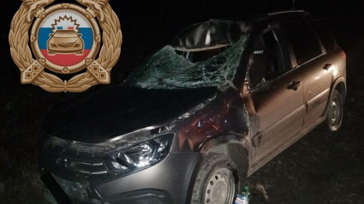 У саратовской Липовки «Гранта» в темноте сбила лося У саратовской Липовки «Гранта» в темноте сбила лося