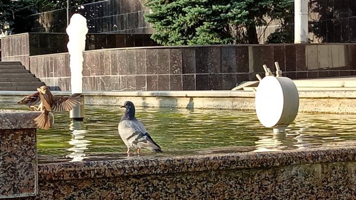 В Саратове выделят допсредства на снос домов, ремонт фонтанов, благоустройство территории у трамвайных путей В Саратове выделят допсредства на снос домов, ремонт фонтанов, благоустройство территории у трамвайных путей