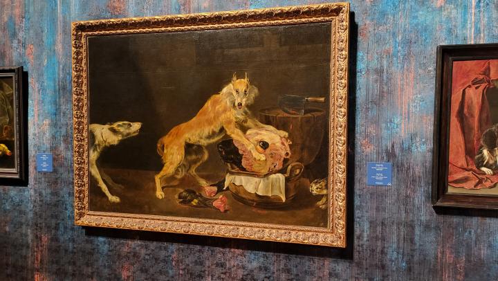 Афиша культурных мероприятий в Саратове Афиша культурных мероприятий в Саратове