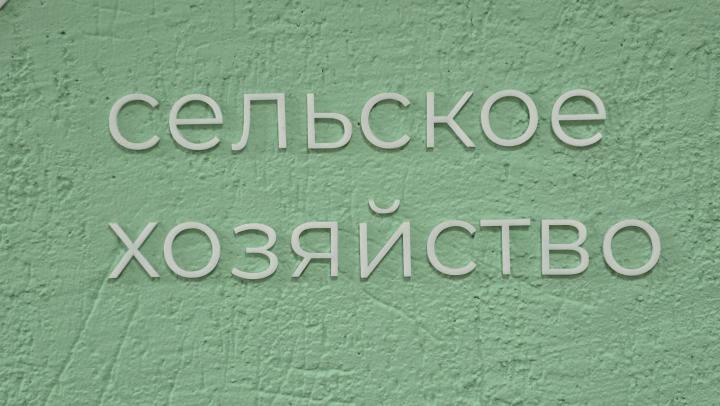 Весенне-полевые работы в Саратовской области: посевная площадь сократилась Весенне-полевые работы в Саратовской области: посевная площадь сократилась