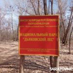 В Дьяковском лесу сделают площадки для отдыха, вольеры, гостевые дома и экологические тропы
