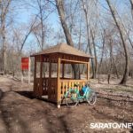 В Дьяковском лесу сделают площадки для отдыха, вольеры, гостевые дома и экологические тропы