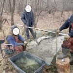 За две недели в Саратовской области выявлено 146 браконьеров на Волге