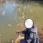 За две недели в Саратовской области выявлено 146 браконьеров на Волге