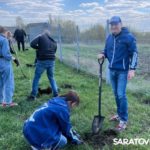 В Саратовской области в рамках акции «Сад памяти» сторонники «Единой России» высадили более тысячи деревьев В Саратовской области в рамках акции «Сад памяти» сторонники «Единой России» высадили более тысячи деревьев