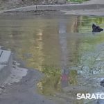 Потоп на 1-м Жилучастке в Саратове: радуются только голуби Потоп на 1-м Жилучастке в Саратове: радуются только голуби