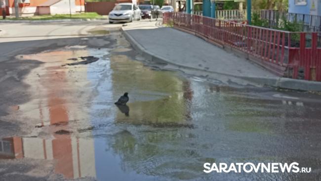 Потоп на 1-м Жилучастке в Саратове: радуются только голуби Потоп на 1-м Жилучастке в Саратове: радуются только голуби