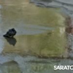 Потоп на 1-м Жилучастке в Саратове: радуются только голуби Потоп на 1-м Жилучастке в Саратове: радуются только голуби