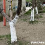 Саратовский филиал «ЭнергосбыТ Плюс» организовал весеннюю акцию для жителей города Саратовский филиал «ЭнергосбыТ Плюс» организовал весеннюю акцию для жителей города