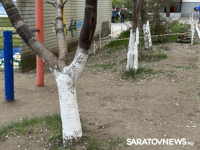 Саратовский филиал «ЭнергосбыТ Плюс» организовал весеннюю акцию для жителей города Саратовский филиал «ЭнергосбыТ Плюс» организовал весеннюю акцию для жителей города