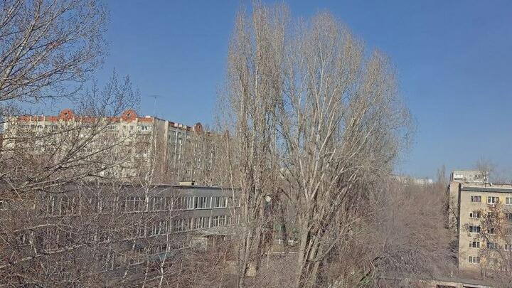 Лето в апреле: в Саратовской области воцарится аномальное тепло и пройдут грозы Лето в апреле: в Саратовской области воцарится аномальное тепло и пройдут грозы