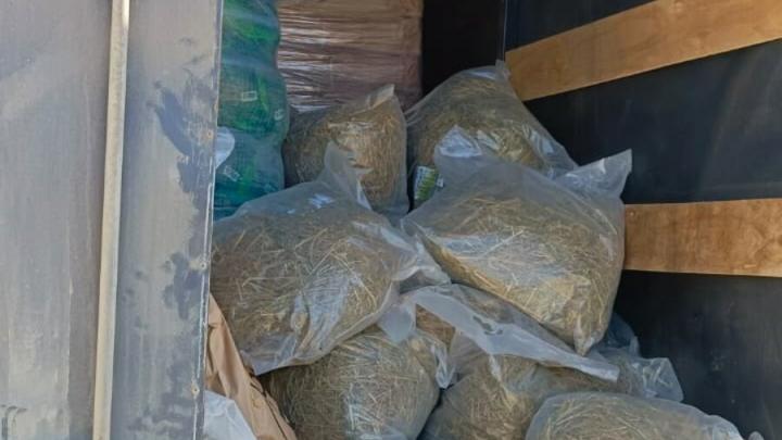 Из Саратовской области пытались незаконно вывезти 180 мешков с сеном Из Саратовской области пытались незаконно вывезти 180 мешков с сеном
