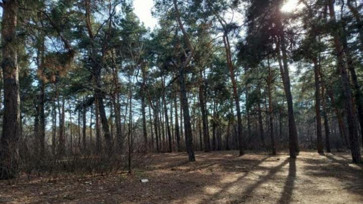 В Саратовской области облачно с прояснениями В Саратовской области облачно с прояснениями