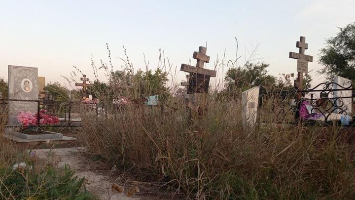 В Ртищево местные власти забыли благоустроить кладбища В Ртищево местные власти забыли благоустроить кладбища