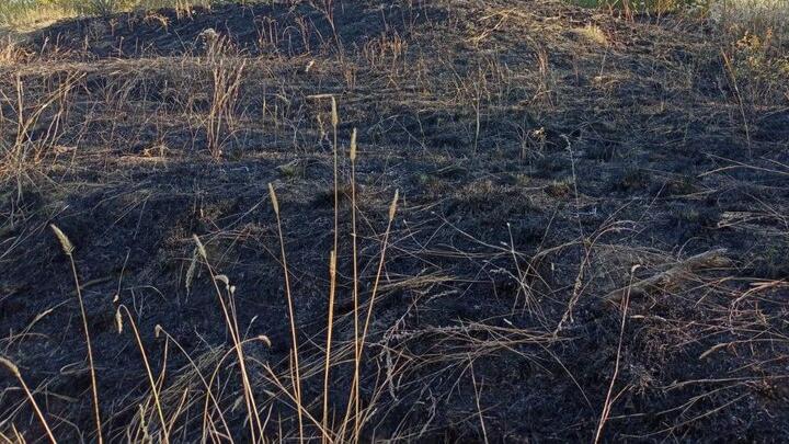 В Балаковском районе горели поля В Балаковском районе горели поля