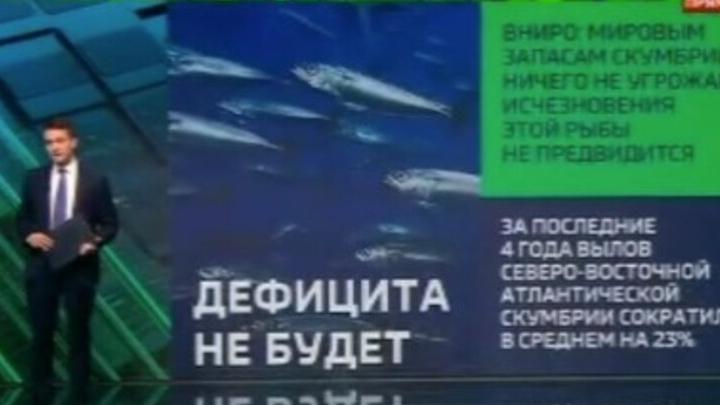 Саратовцам не грозит дефицит скумбрии Саратовцам не грозит дефицит скумбрии