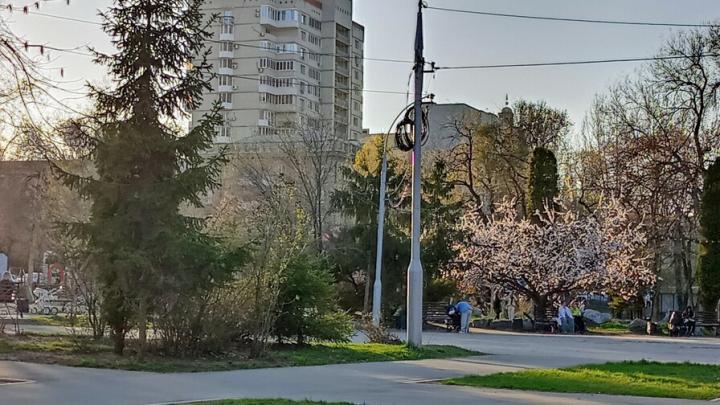 В Саратове все теплее В Саратове все теплее