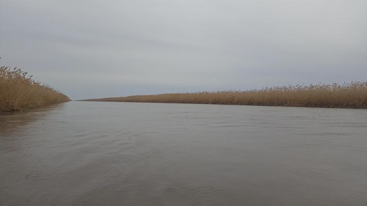 80 млн выделено на закачку воды в пруды засушливых районов Левобережья 80 млн выделено на закачку воды в пруды засушливых районов Левобережья