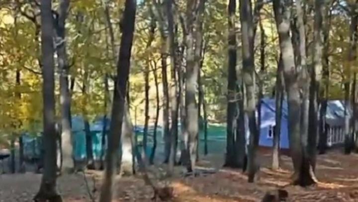 Появится ли в области саратовский «Артек»? Появится ли в области саратовский «Артек»?