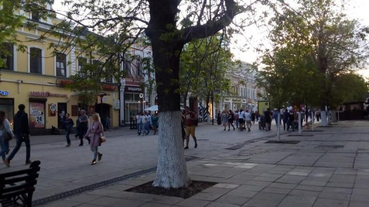 В Саратове посадили почти 170 деревьев В Саратове посадили почти 170 деревьев
