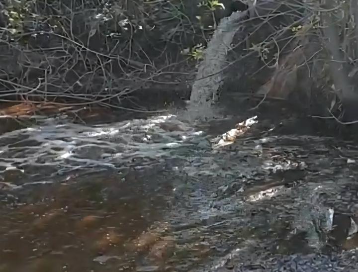 Начали наполнять водой пруд около дома отдыха «Ударник» Начали наполнять водой пруд около дома отдыха «Ударник»