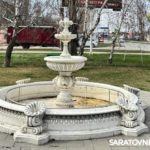 Сквер риска: энгельсский активист бьёт тревогу из-за трухлявых деревьев у детской школы
